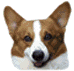pets.gif